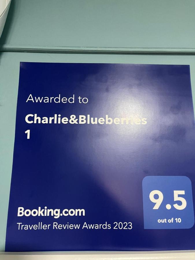 贝尔格莱德Charlie&Blueberries公寓 外观 照片